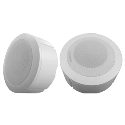 ลำโพงเพดานพื้นผิว